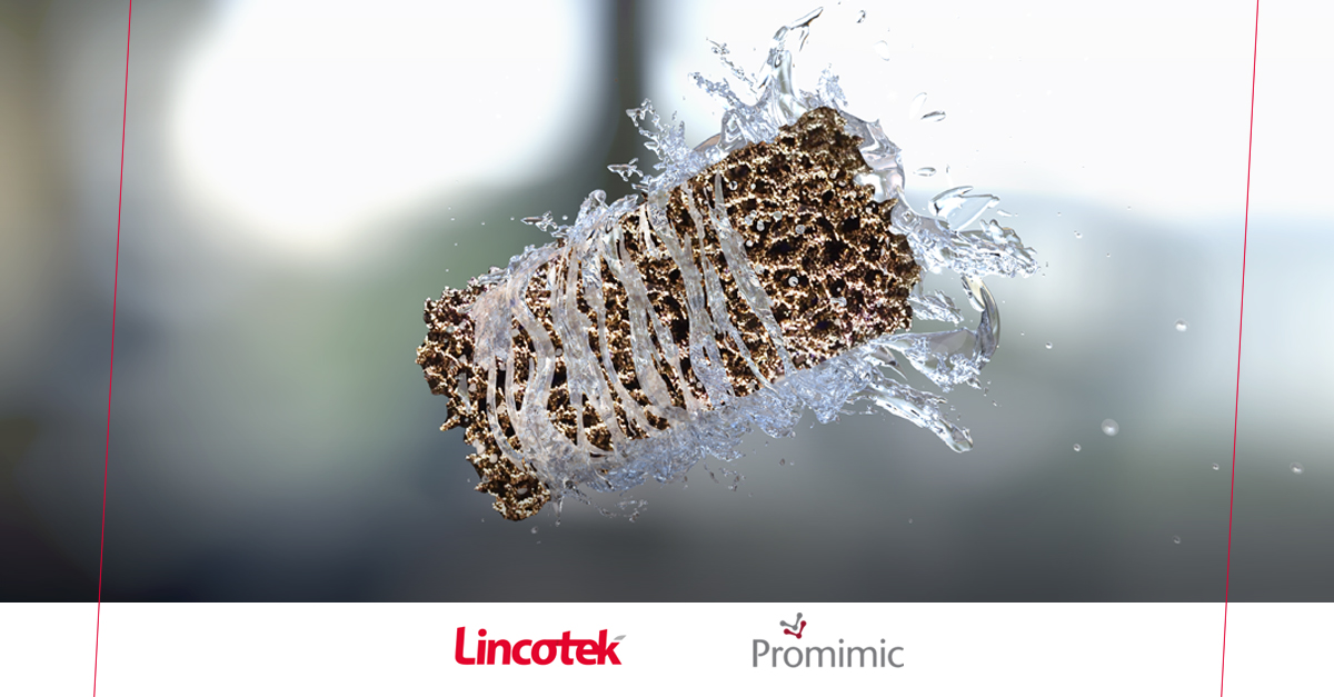 Lincotek-Promimic new agreement for HAnano Surface technology